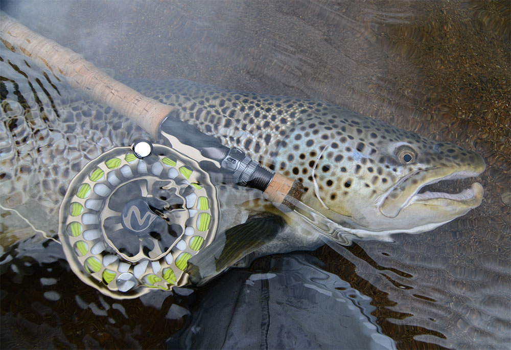 Einarsson Plus Series Fly Reel image 16