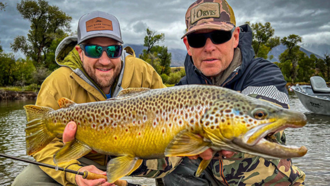 Yellowstone River Brown Trout