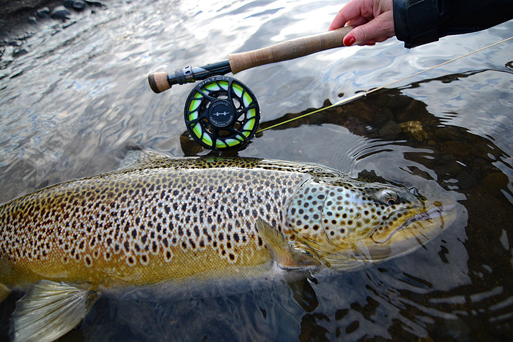Hatch Outdoors - Iconic Fly Reel image 27