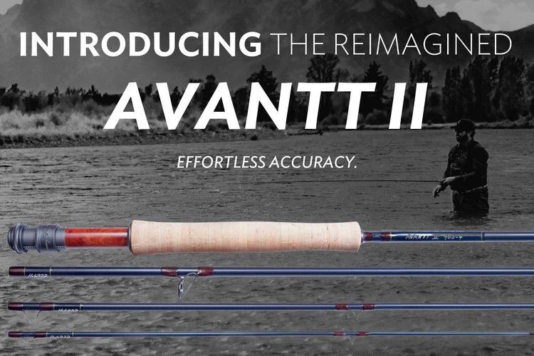 Thomas and Thomas Avantt II