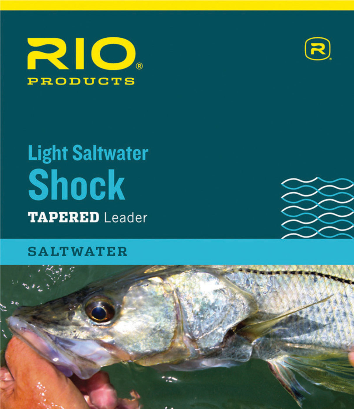 Rio Light Saltwater Shock Leader image 0