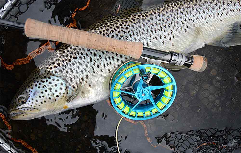 Lamson Litespeed M image 7