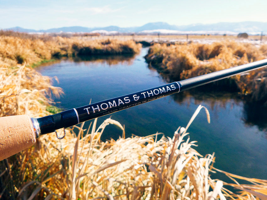 Thomas and Thomas Avantt image 0