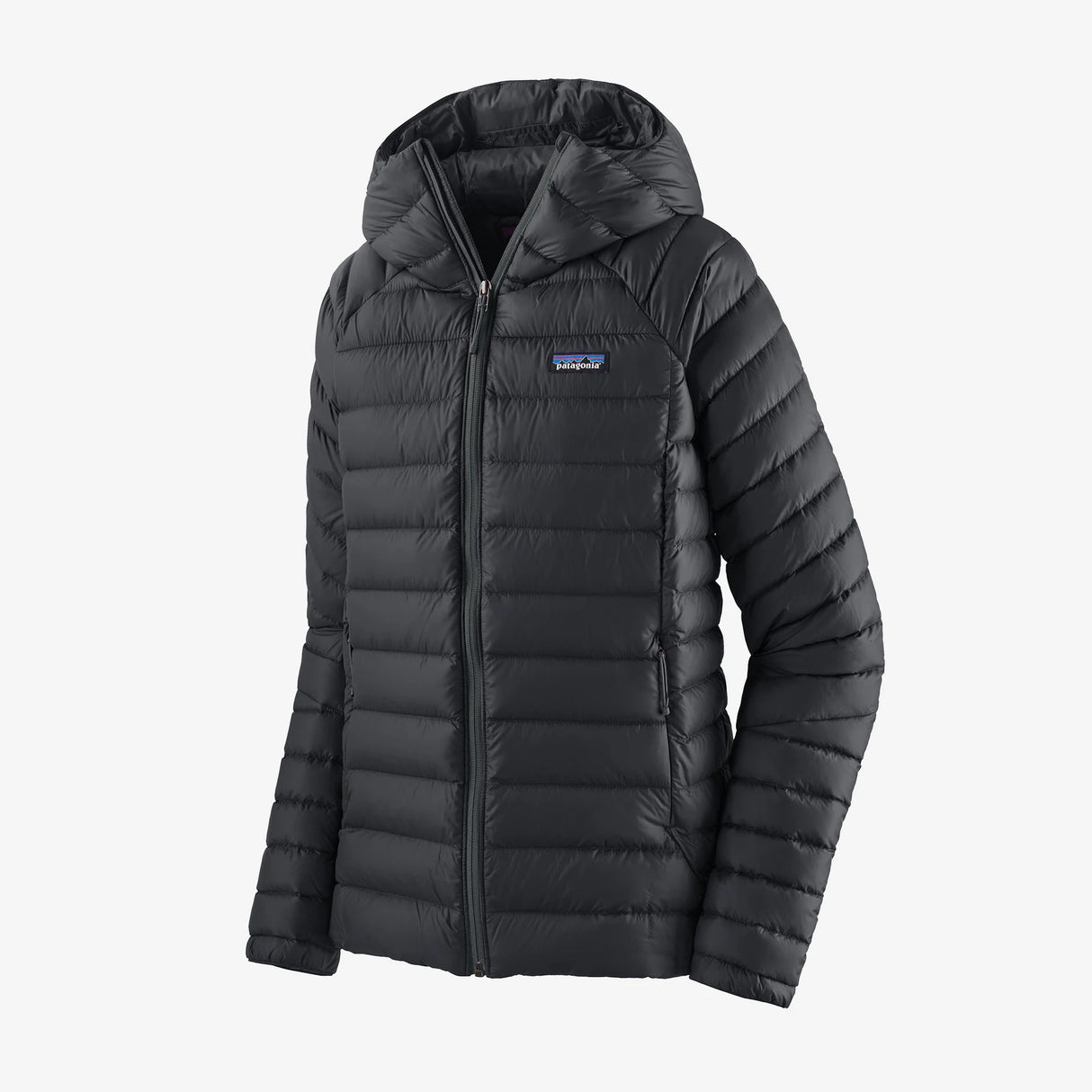 Patagonia Women's Down Sweater image 0
