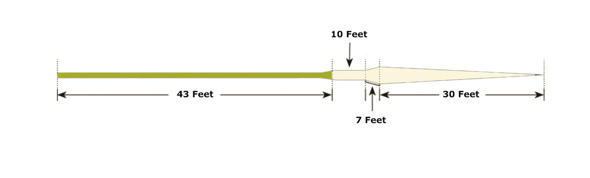 Royal Wulff Triangle Taper Signature Plus Fly Line image 2