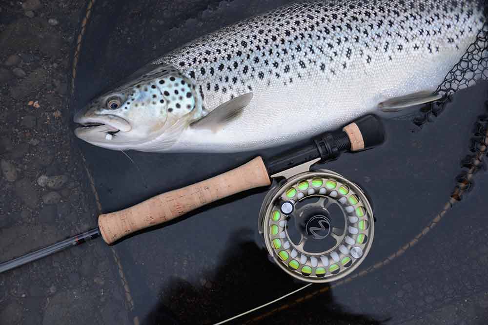 Einarsson Plus Series Fly Reel image 13