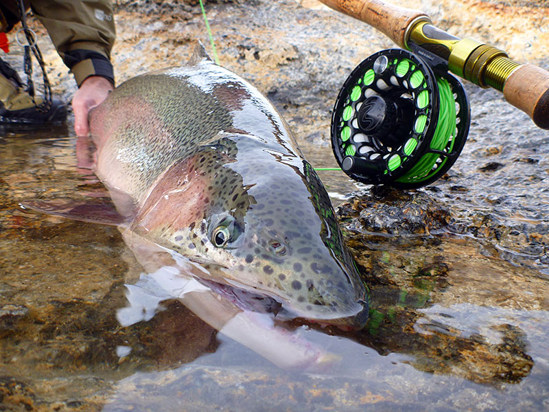 Einarsson Invictus Fly Reel Series image 6