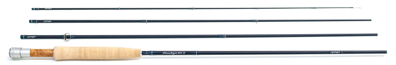 Thomas and Thomas Paradigm image 0