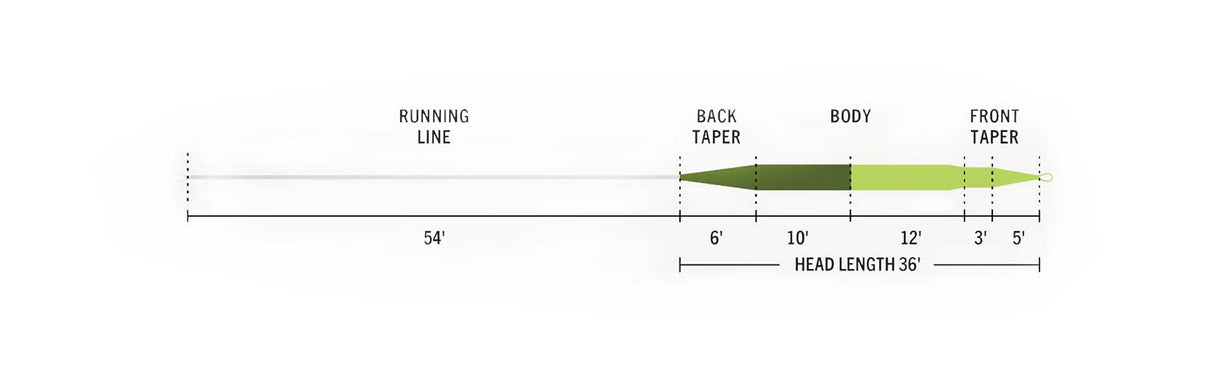 RIO Elite Perception Fly Line image 2