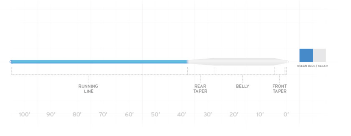 Scientific Anglers Sonar Saltwater Intermediate Fly Line image 1