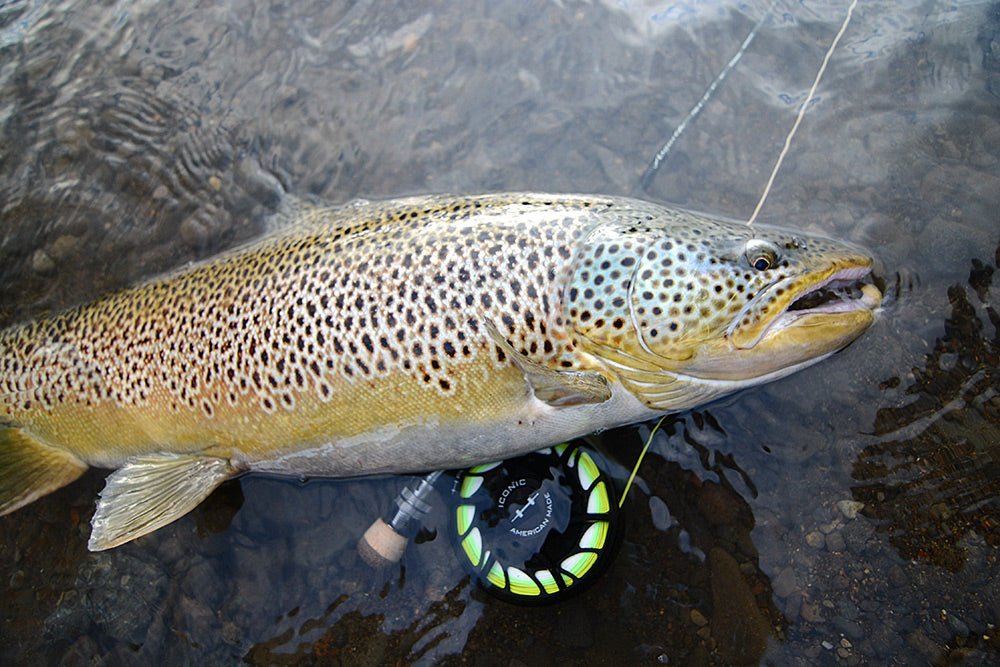 Hatch Outdoors - Iconic Fly Reel image 30