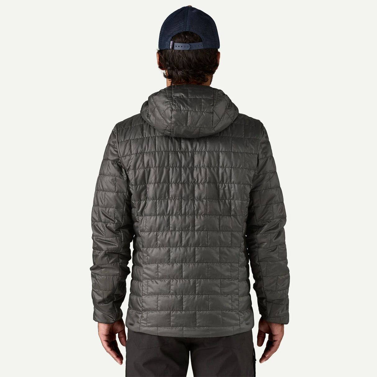 Patagonia Nano Puff Fitz Roy Trout Hoody M's