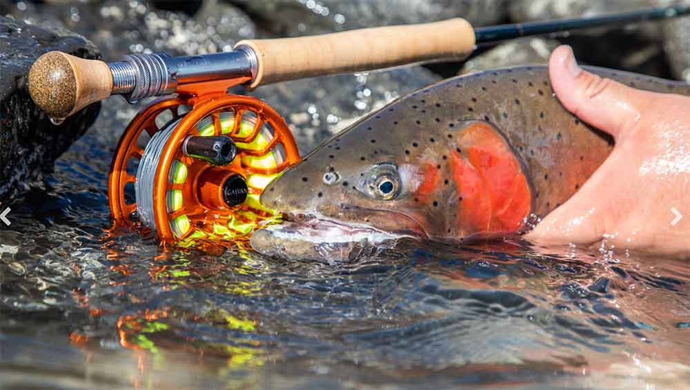 Galvan Torque Fly Reel image 20
