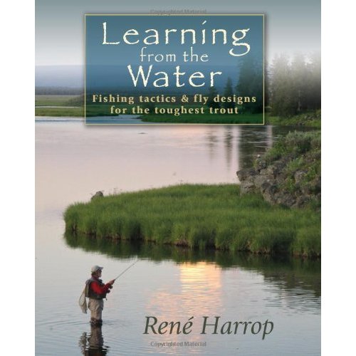 Learning From The Water by Rene Harrop image 0