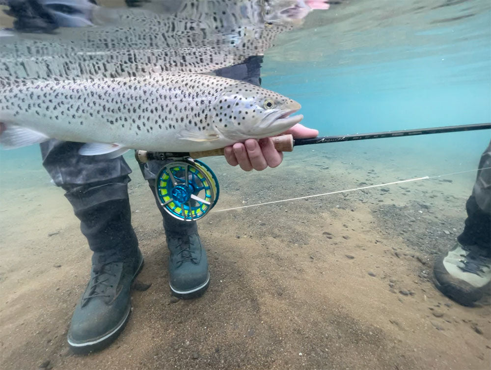 Lamson Litespeed M image 12