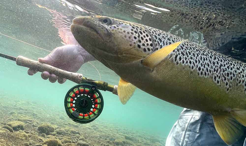 Galvan Torque Fly Reel image 7