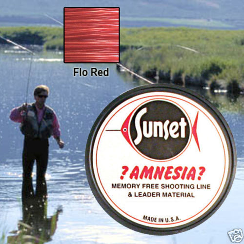 Amnesia Leader Material image 0