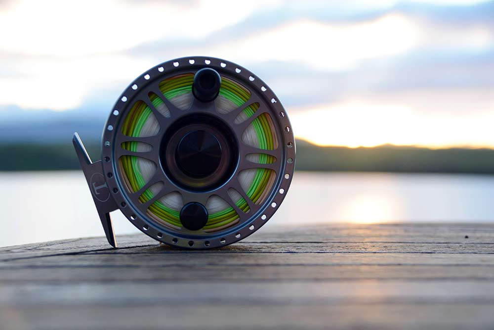 Tibor Everglades image 6