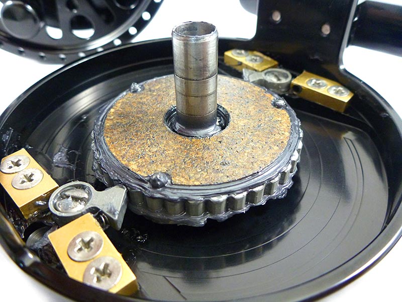 Tibor Everglades image 17