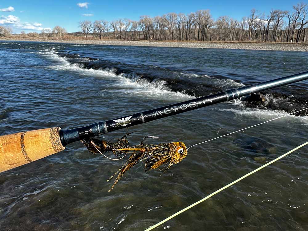 Fenwick Aetos 5-Weight Outfit image 1