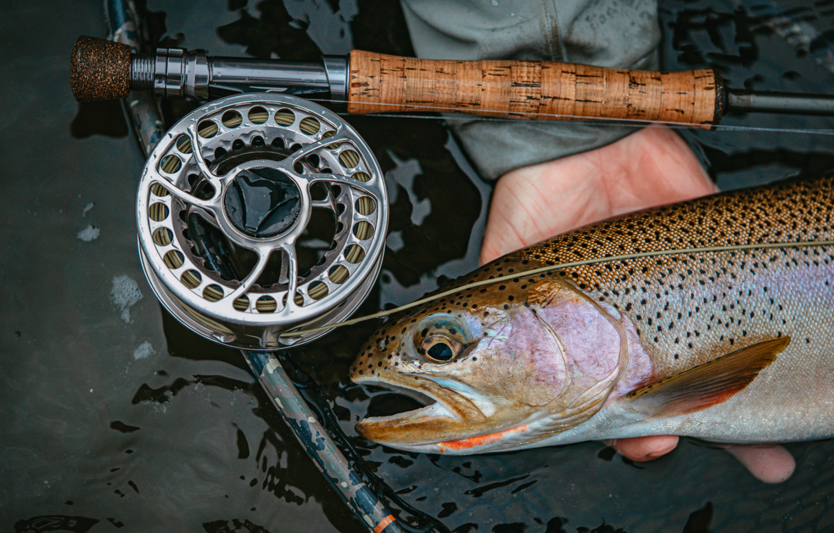 TFO BVK SD Fly Reel image 11