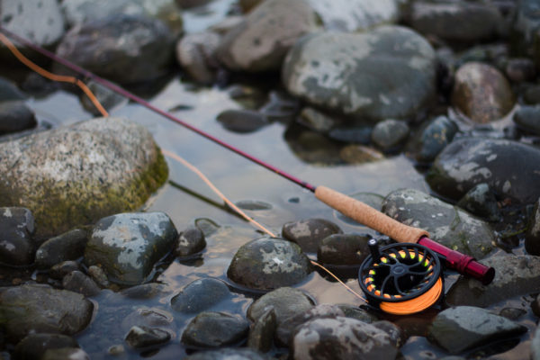 TFO Bug Launcher Fly Rod And Reel Kit image 0