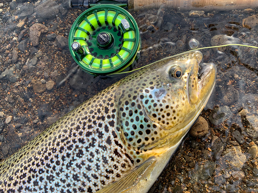 Galvan Torque Fly Reel image 6