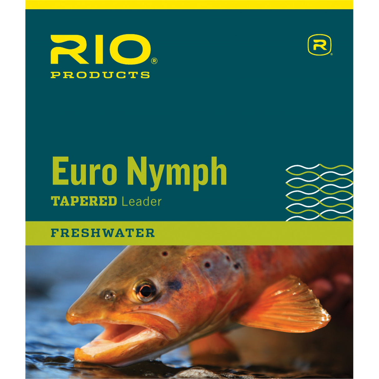 Rio Euro Nymph Leader image 0