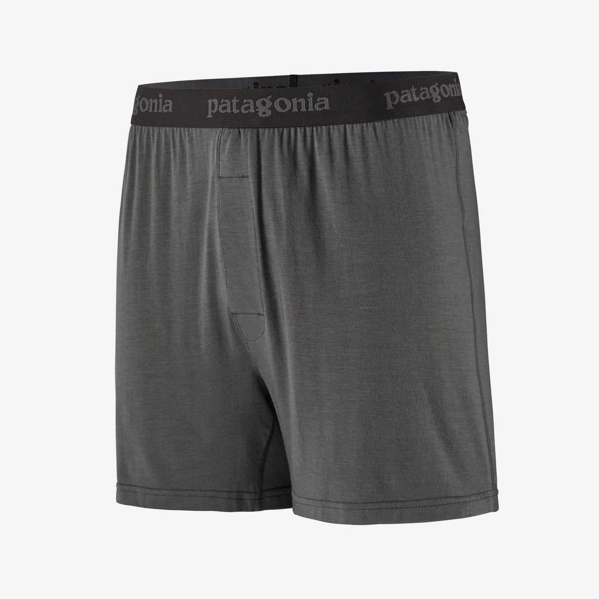 Patagonia Men's Essential Boxers image 0