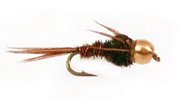 Bead Head Pheasant Tail image 0