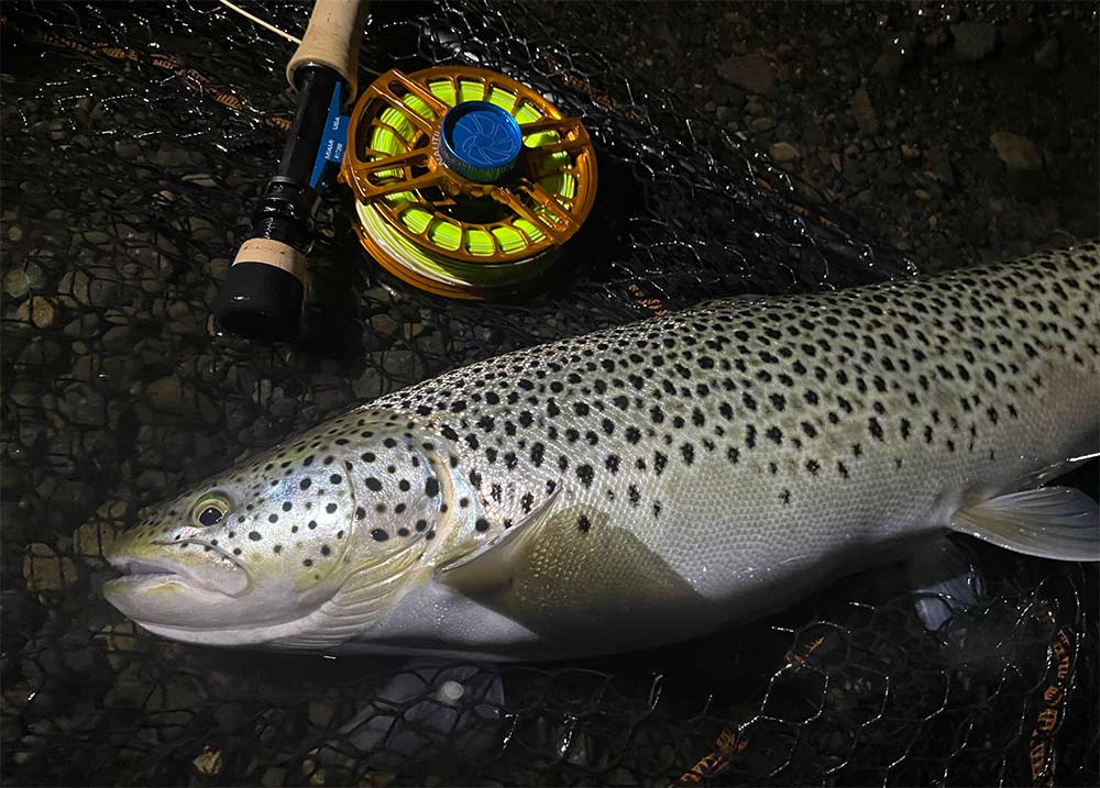 Nautilus X-Series Reel – Yellowstone Angler