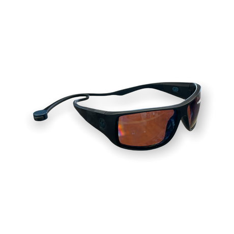 Dragon Sunglasses image 0