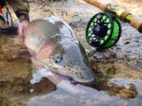 Einarsson Invictus Fly Reel Series image 6