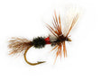 Royal Wulff Cripple image 0