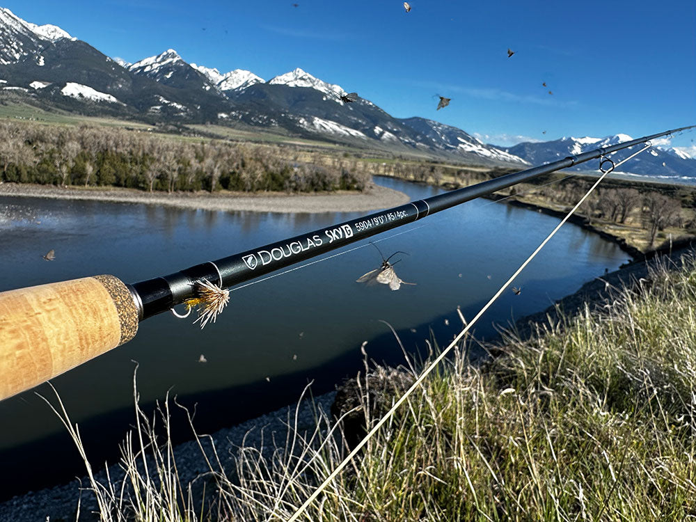 Dal Rods Douglas Fly Fishing Rods – Yellowstone Angler