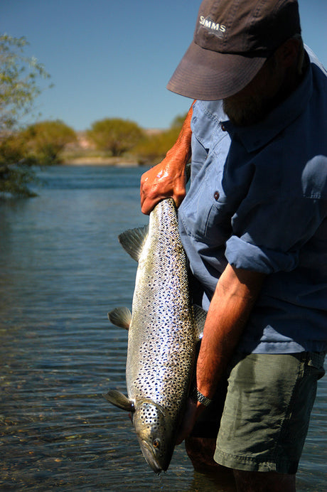 Yellowstone Angler's Ultimate Argentina Fly Selection image 0
