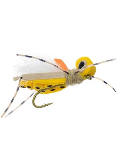 5.25 Fly