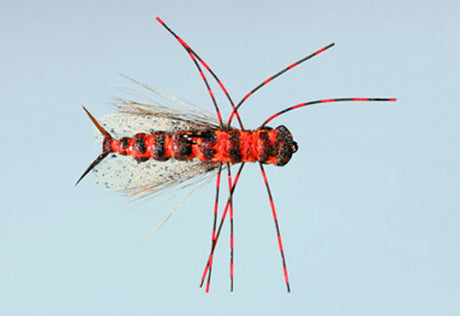 Goodman's Crowd Surfer Stone Fly image 1