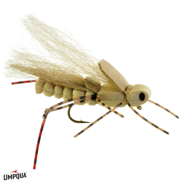 Sweetgrass Hopper - One Dozen SPECIAL image 0