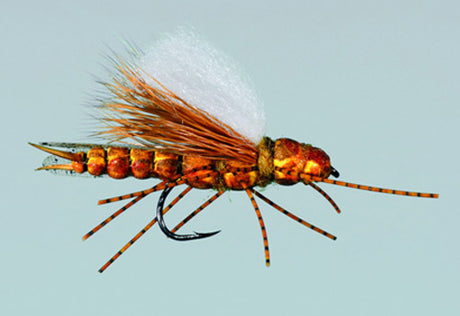 Goodman's Crowd Surfer Stone Fly image 0