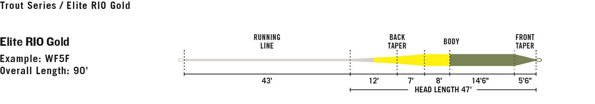 Rio Gold Elite Fly Line image 1