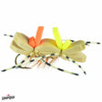Barred Leg Golden Stone image 0