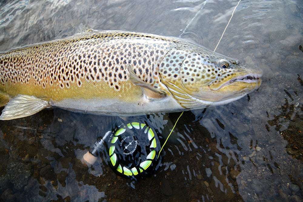 Hatch Outdoors - Iconic Fly Reel – Yellowstone Angler
