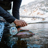 Ross Cimarron LT Fly Reel Coors Light Edition