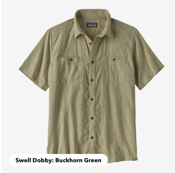 Patagonia Back Step Shirt image 0