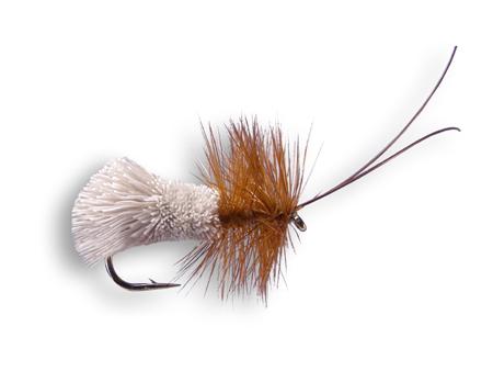 Goddard Caddis image 0
