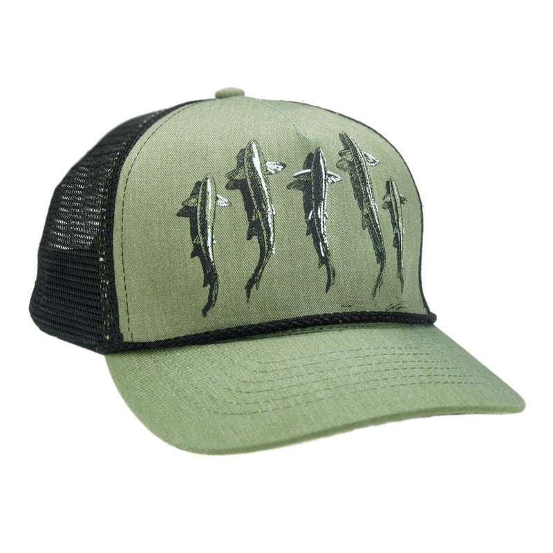 Rep Your Water Trout Country 5 Panel Hat image 0