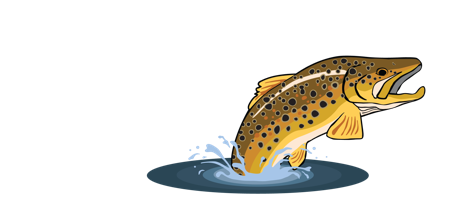 Yellowstone Angler