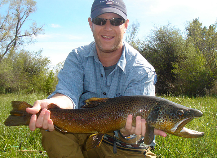 Nelsons spring creek brown