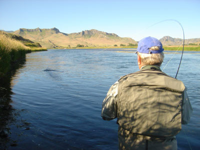 Loaded fly rod